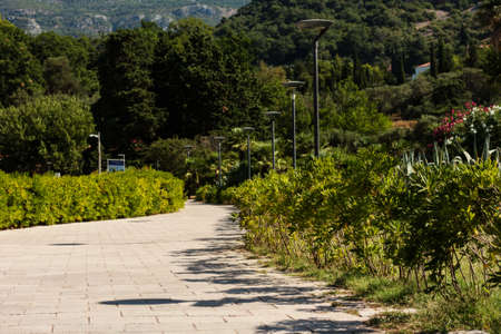 path in the park near island Sveti-Stefan, Budva in Montenegro, Europe, Adriatic Sea and mountainsの写真素材
