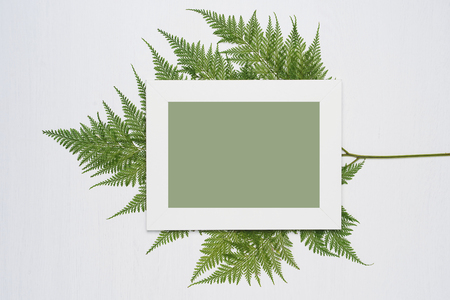 Stylish minimal composition with white photo frame and green leaves on a white wooden background. Empty photo frame and green leaves. flat lay, top view.の写真素材