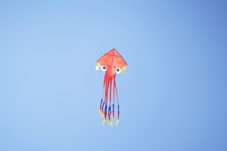 Flying Octopus Kite.の写真素材