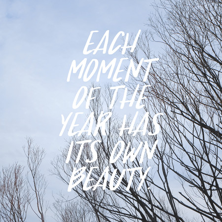 Inspirational motivation quote. Each moment of the year has its own beauty.の写真素材