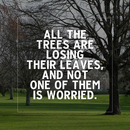 Inspirational and motivation quote All the trees are losing their leaves, and not one of them is...
