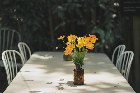 Beautiful flowers in a brown glass bottle placed on a wooden table in the garden in the morning.の写真素材