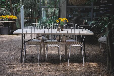 Table in the garden in the morning.の写真素材