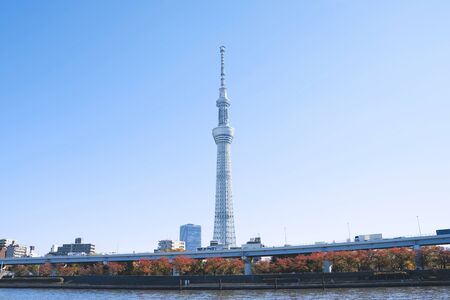 TOKYO - NOVEMBER 29, 2019 : Tokyo Sky Tree - one of the tallest observation tower in Tokyo, a...