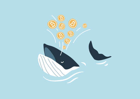 Whale spouting Bitcoin. Bitcoin Whales are considered market players with significant funds that are able to move the cryptocurrency market.のイラスト素材