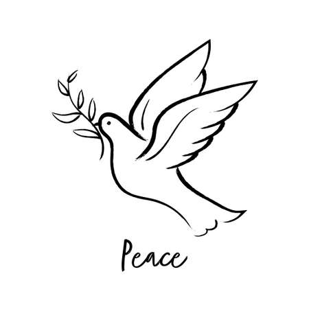Flying dove holding olive branch hand drawing. Peace dove vector.のイラスト素材