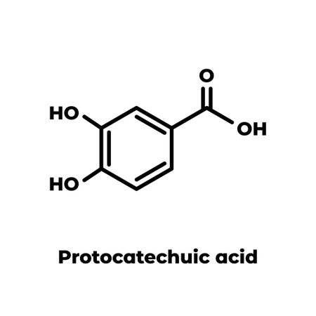 Protocatechuic acid (PCA) green tea antioxidant molecule. Skeletal formula on white background.のイラスト素材
