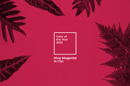 Tropical leaves on Viva magenta color background. Botanical nature color of the year 2023.