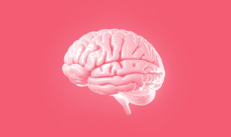 3D Human brain Anatomical Model slide on pink background.の素材