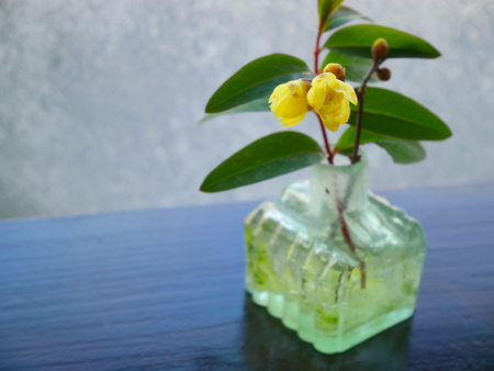 A small flower arrangementの写真素材