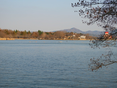 Ueno marshの写真素材
