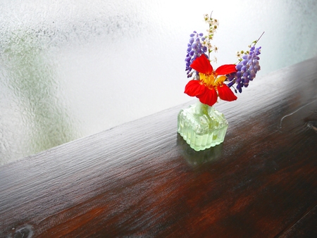 Spring of a small flower arrangementの写真素材