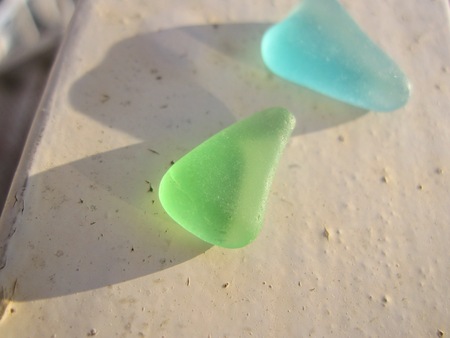 Seagrassの写真素材