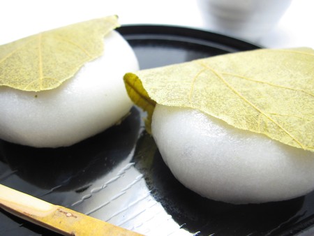 Kashiwamochi of Japanの写真素材