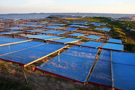 blue net plate for fishery sundry, dryed sea food.