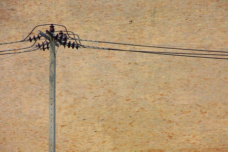 electricity post and wire on the brick wall.の写真素材