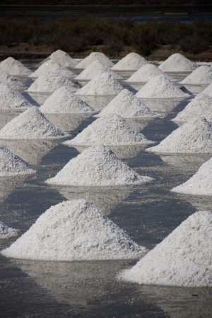 pile of salt in the salt pan at rural area of Thailandの写真素材