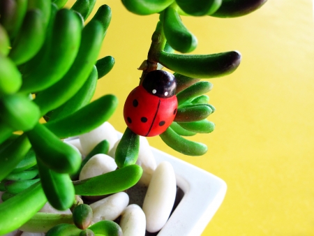 bug figure climbing  on little tree in flowerpotの写真素材