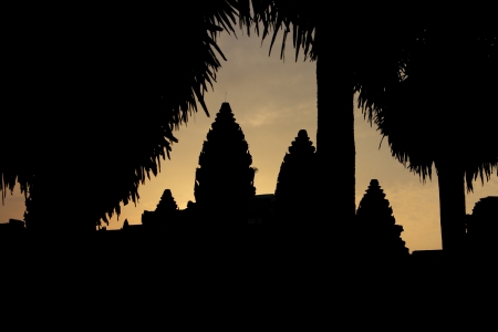 Angkor Wat and plam tree, Cambodiaの写真素材