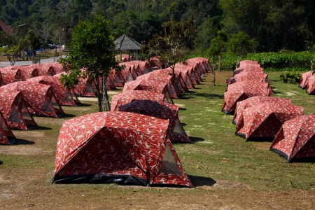Camp site in Khao Yai national park, Thailand.の写真素材