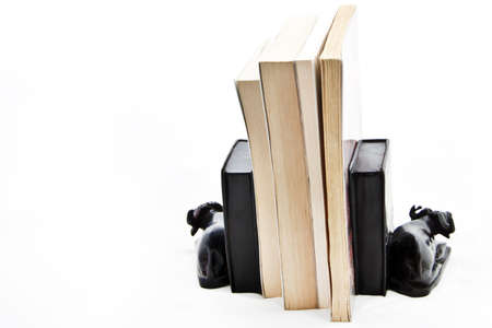 Books from the back 3の写真素材