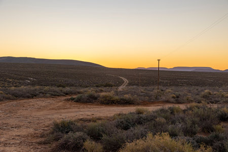 The plants by the dirt road in vast open field on sunset sky backgroundの写真素材