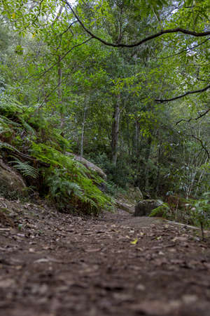 A beautiful view of a landscape with trees and greenery