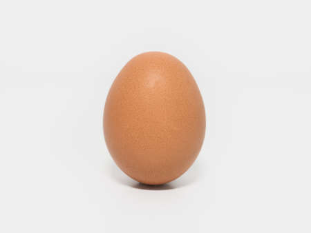 One egg on a white background, isolated.の写真素材