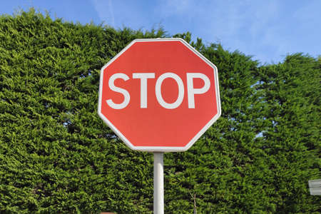 Red stop sign in street, sunny day in Portugal with bright blue sky and green hedge in background.