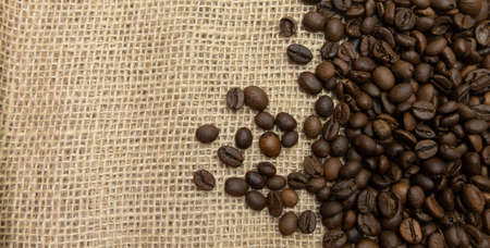 Coffee beans spilled out onto burlap sack cloth with copy space on left. Natural background.