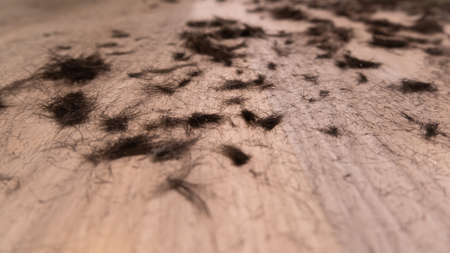 Close up of hair on the floor of barber shop after haircut, low angle.の写真素材