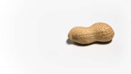 Single raw peanut in shell on white background with space on leftの写真素材