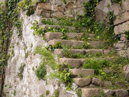Ancient, worn stone steps in Porto, Portugal with plants growing in cracks