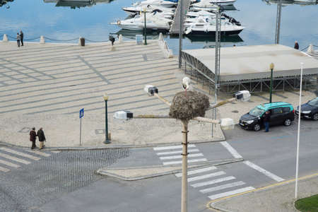 Stork nest on lamp post in Faro, Algarve with harbour below.のeditorial素材