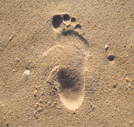 Human footprint in the sand on a beach.の写真素材
