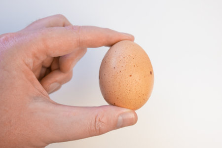 Hen's egg. Chicken egg held in hand between finger and thumb.