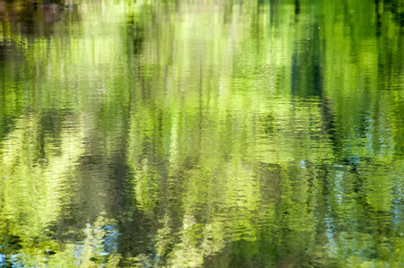 Water with the reflection of treesの写真素材