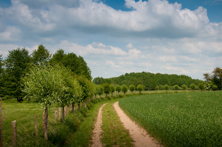 Country road and fieldsの写真素材
