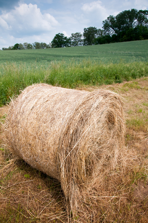 Bale in the countrysideの写真素材