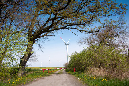 Wind turbine behind barrier and treesの写真素材