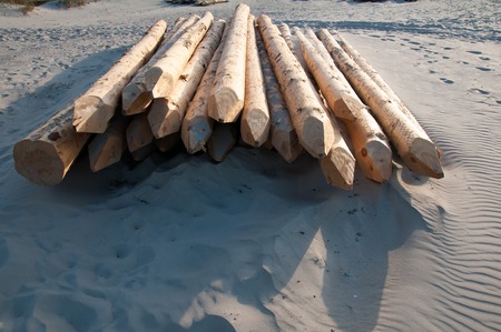 Wooden components for the construction of the breakwaterの写真素材