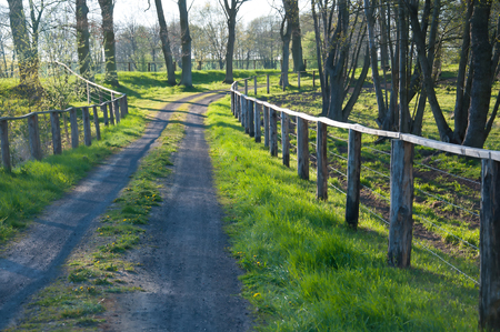 Fenced country road in the sunの写真素材