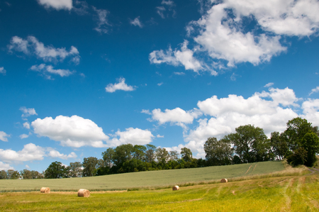 Gold bales on green grass and blue sky with cloudsの写真素材