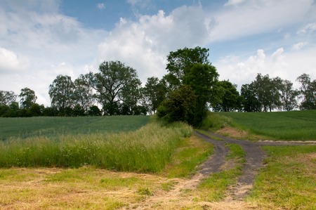 Sandy country road through the fieldsの写真素材
