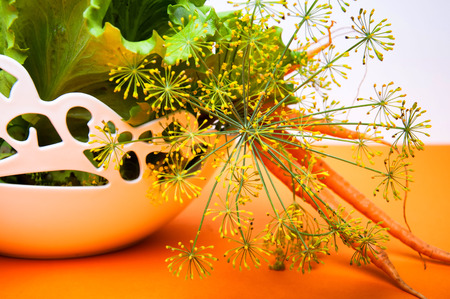 Carrots, salad and fennel on orange backgroundの写真素材