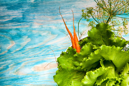 Carrots, salad and fennel on blue wooden tableの写真素材