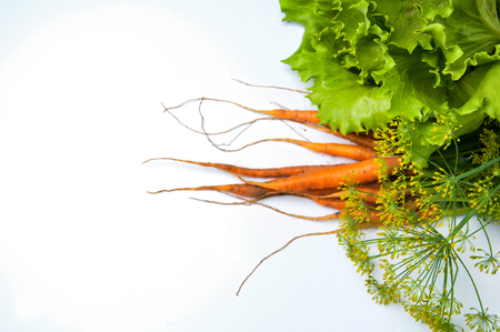 Carrots on white backgroundの写真素材