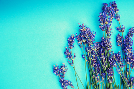 Heather flowers frame on blue backgroundの写真素材