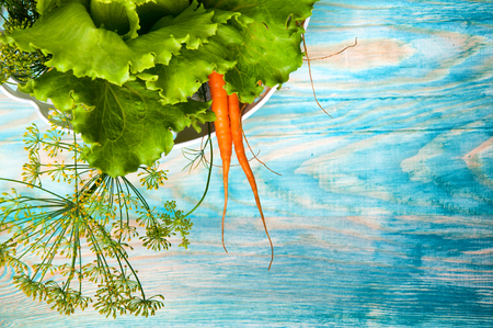 Carrots, salad and fennel on blue wooden tableの写真素材