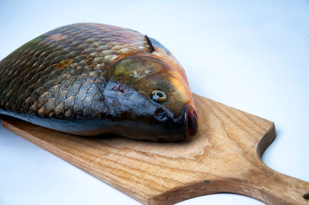 Big prussian carp on cutting board isolated on whiteの写真素材